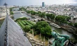 Victime de la pollution, des intempéries et de l'usure du temps, la cathédrale Notre-Dame de Paris sonne l'alarme, photo prise le 28 juin 2017
