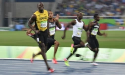 Usain Bolt sans rival dans sa demi-finale du 100 m aux Jeux de Rio, le 14 août 2016