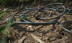 Coliers et bracelets du trésor de Tavers, datant du VIÚ siÚcle avant Jésus-Christ, photographiés le 15 avril 2019