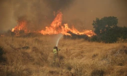 Un pompier tente d'éteindre un feu qui fait rage dans la région de Megara, au nord-ouest d'Athènes, le 3 août 2026.