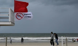 Les autorités sanitaires appellent  à respecter les interdictions de baignade, pointant les risques liés aux sites non surveillés