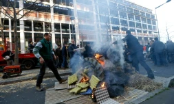 Des agriculteurs manifestent devant l'ASP (Agence de services et de paiement) le 16 février 2016 à Montreuil prÚs de Paris