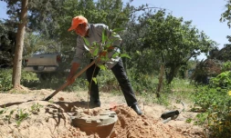 Khalifa Ramadan, fondateur de l'association "Les amis de l'arbre", plante un arbre dans sa ferme à Tajoura, le 18 mars 2023 en Libye