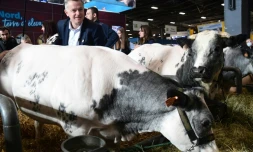 Le candidat communiste à la présidentielle Fabien Roussel en visite au salon de l'agriculture le 28 février 2022 à Paris
