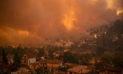 Les feux de forêt continuaint dimanche 8 août de ravager l'île grecque d'Eubée, en proie aux incendies depuis six jours