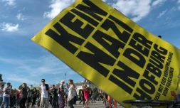 Des supporters du candidat écologiste avant le second tour la présidentielle autrichienne