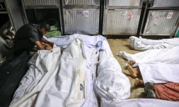 Un Palestinien pleure la mort d'un proche tué la veille par des tirs israéliens alors qu'il venait chercher de l'aide alimentaire, dans la morgue de l'hôpital Al-Shifa de Gaza-ville, le 10 août 2025