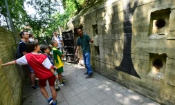 Photo prise le 18 juin 2017 de visiteurs dans l'enceinte d'un bunker construit par les nazis aux Pays-Bas