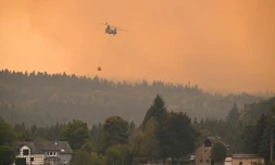 Un hélicoptère bombardier d'eau néerlandais lutte contre un incendie dans les Fagnes en Belgique le 16 août  2026
