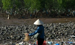 La mangrove recouverte de sacs plastiques dans la province vietnamienne de Than Hoa, le 15 mai 2018