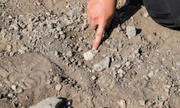 Photo non datĂ©e, diffusĂ©e par l'Institut des origines humaines de l'UniversitĂ© d'Ătat de l'Arizona, montrant une partie de la mĂąchoire juvĂ©nile de l'Australopithecus deyiremeda, un ancien parent de l'homme, dĂ©couverte dans la rĂ©gion Afar, en Ăthiopie