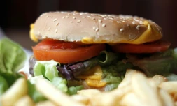 A toutes les sauces et dans tous les pains, le burger séduit toujours plus les palais français et ses ventes ont continué de progresser en 2015 en France