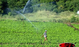 Terrain agricole