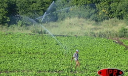 Système d'irrigation.