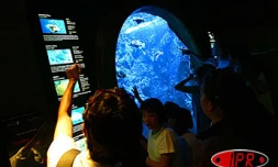 L'Aquarium de La Réunion fête ses trois ans