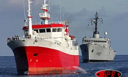 Jeudi 1 er juillet 2004 -
60 tonnes de légine sont stockées dans les cales de l'Apache supris en pleine pêche illégale au large des TAAF