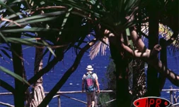 Lundi 4 décembre 2006 -
L'avenir du tourisme a fait l'objet d'une conférence - débat organisée par le MEDEF (syndicat patronal)