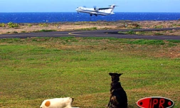 L'aéroport de Pierrefonds tire de mieux en mieux son épingle du jeu