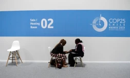 Des participants à la COP25 sur le changement climatique jeudi 12 décembre à Madrid