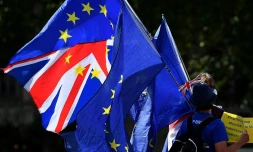 Des militants anti-Brexit manifestent devant le Parlement britannique à Londres, le 29 août 2019