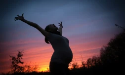 Les Françaises et les Suédoises affichaient en 2016 le meilleur taux de fécondité au sein de l'Union européenne, selon des chiffres publiés mercredi par l'Office européen des statistiques Eurostat.