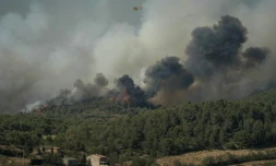 Un incendie à Tournissan, dans l'Aude, le 5 août 2025