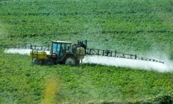 L'agence européenne de sécurité des aliments défend son rapport sur le glyphosate, un herbicide controversé