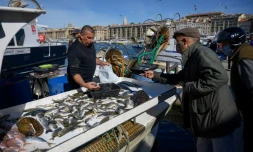 Un client portant un masque de protection achĂšte du poisson Ă Marseille, le 3 mai 2020