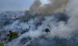 Incendie de forêt volontaire près de Labrea, en Amazonie brésilienne, le 4 septembre 2024