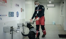 Entraßnement de la brigade canine des sapeurs-pompiers de Gironde à détecter la maladie du Covid, à Libourne, le 29 janvier 2021