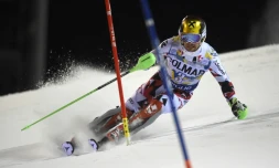 L'Autrichien Marcel Hirscher lors de la 1re manche du slalom en nocturne de  Madonna di Campiglio (Italie), le 22 décembre 2015 