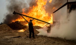 Feu de forêt à Constitucion, au Chili, le 26 janvier 2017
