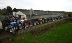Rassemblement devant la ferme Les Domaines, menacée d'expulsion, le 10 novembre 2016 à Notre-Dame-des-Landes