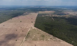Vue aérienne d'une zone déboisée à la périphérie de Juan Jose Castelli, dans la province de Chaco, le 26 octobre 2022 Argentine