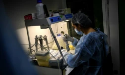 Une technicien travaille sur le séquençage du génome du Sars-CoV-2 et de ses variants, le 21 janvier 2021 à l'Institut Pasteur, à Paris