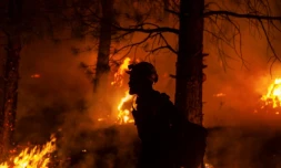 Des soldats du feu combattent le Bootleg Fire dans l'Oregon, le 15 juillet 2021