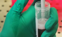 Le Conseil national consultatif pour la biosécurité (CNCB) met en garde contre un risque de détournement de la biologie de synthèse