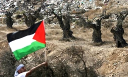 Un homme brandit un drapeau palestinien dans un champs d'oliviers à Hébron Hébron en Cisjordanie occupée, le 16 octobre 2010