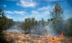 Un incendie à Artigues, dans le Var, le 27 juillet 2017