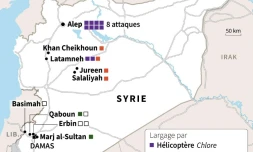 Accusations d'attaques chimiques en Syrie