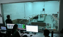 Des employés observent le comportement d'un chien lors d'un test de détection au laboratoire du site de Dognosis, le 28 juillet 2026 à Kempohalli, en périphérie de Bangalore, en Inde