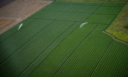 Agriculture intensive Ă Amboise, le 16 juillet 2017