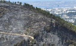 240 hectares de pinède détruite par un feu près de Carnoux-en-Provence, non loin de Marseille, le 22 août 2017.
