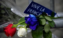 Les Français estiment en majorité que les autorités ont amélioré la sécurité des rassemblements en extérieur depuis l'attentat de Nice mais jugent que les événements en plein air et les feux d'artifice restent encore très vulnérables, selon un sondage
