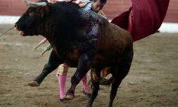 Le matador Ivan Fandiño, le 17 juin 2017 à Aire-sur-l'Adour