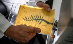 Un artisan injecte de la cire bleue dans un moule en caoutchouc lors d'une démonstration sur la fabrication de la Palme d'or de Cannes, le 21 avril 2026, dans un atelier de la maison Chopard à Meyrin, près de Genève 