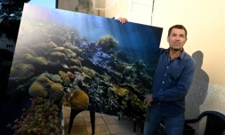Le plongeur et photographe française Alexis Rosenfeld avec une de ses photos de coraux à Marseille, le 24 janvier 2022