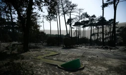 Le camping des Flots Bleus, ravagé par les flammes en Gironde, Pyla-sur-Mer, le 19 juillet 2022