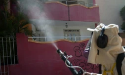 Fumigation contre le moustique Aedes Aegypti, vecteur du virus Zika, le 29 janvire 2016 à Bahia, au Brésil