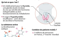 Données sur le Levothyrox, médicament pour la thyroïde. 